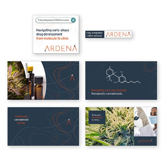 Targeting with social